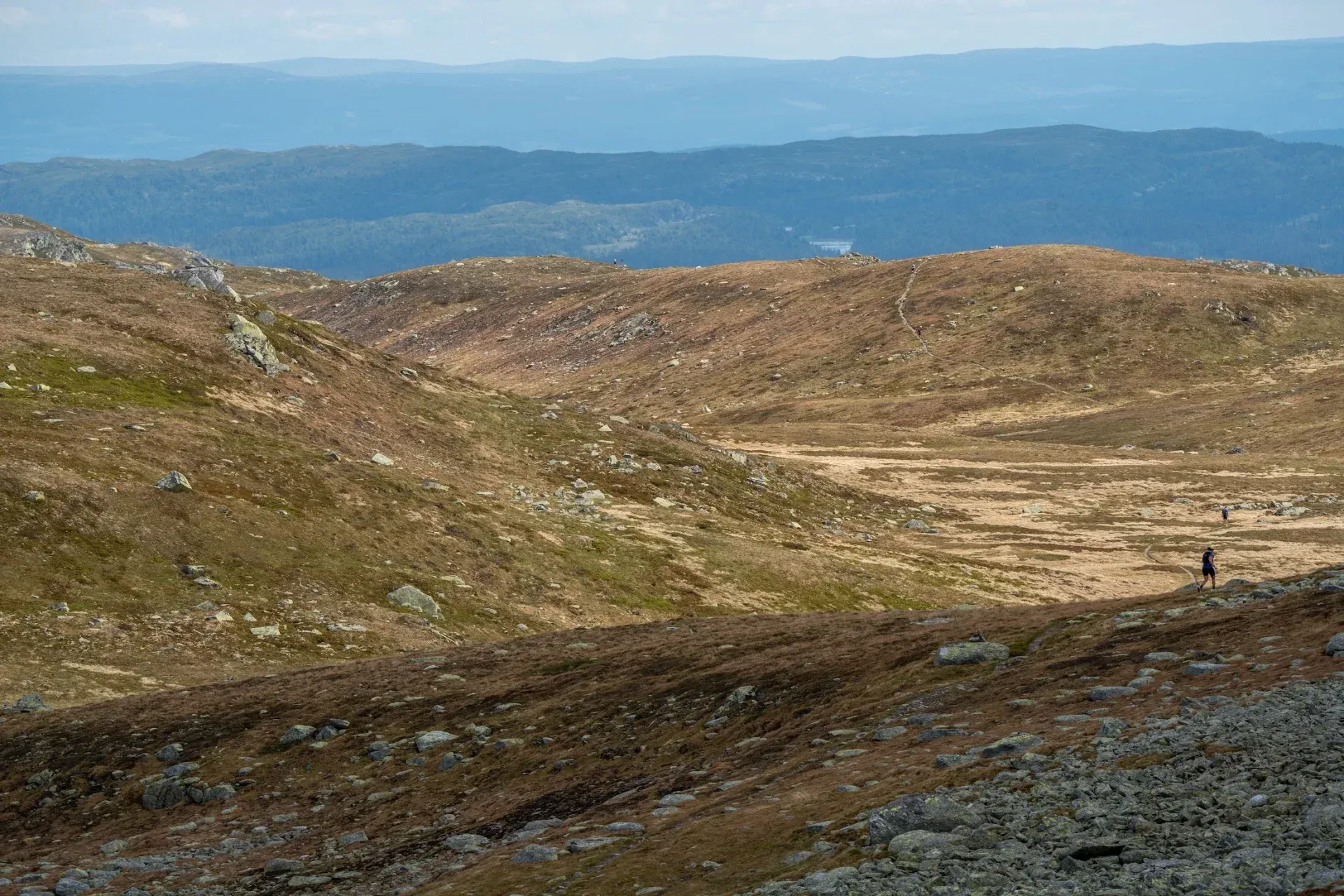 Løpere og fjellterreng i Synnfjellet